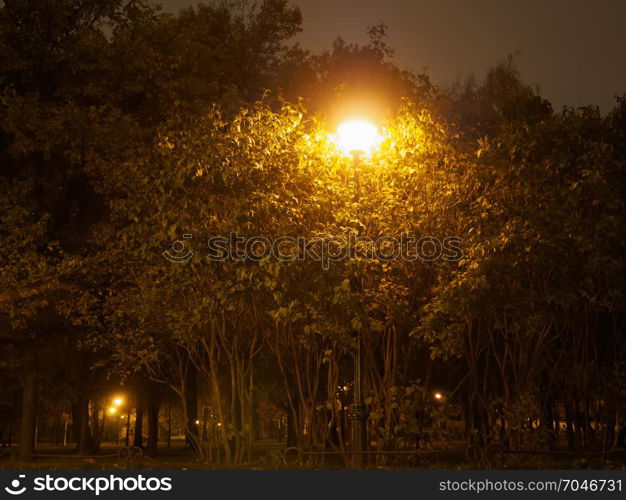 Lanterns illuminate alleys in a night park