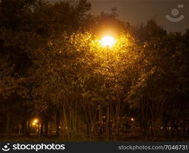 Lanterns illuminate alleys in a night park