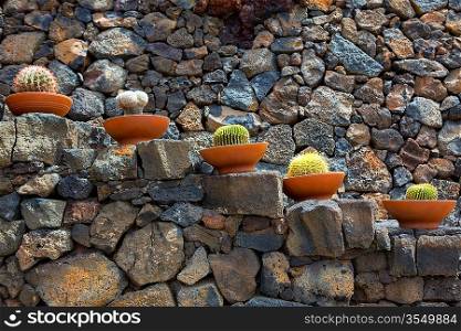 Lanzarote Guatiza cactus garden pots in a row at Canary Islands