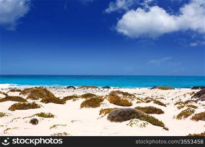 Lanzarote Orzola white sand beach in Canary Islands