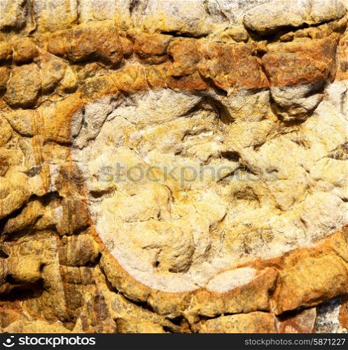 lanzarote spain abstract texture of a broke stone and lichens