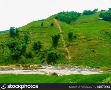 Lao Cai rice fields near Sapa (Chapa) in north mountains of Vietnam, Lao Cai, Vietnam