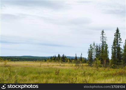 Lapland wilderness mire, autumn season is beginning