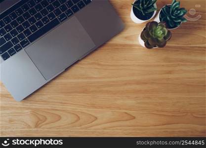 Laptop and succulent in pot plant on wooden table top view.