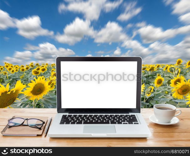 laptop computer and coffee on sunflower field background