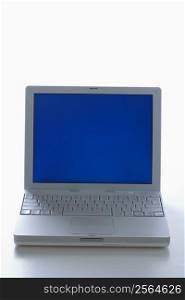 Laptop computer with blue screen.