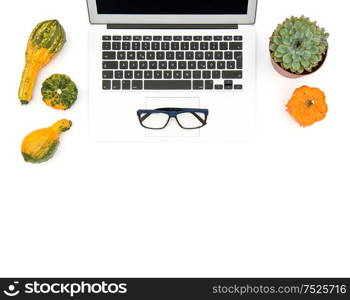 Laptop, succulent plants and autumn pumpkins on white background. Office workplace. Flat lay mock up