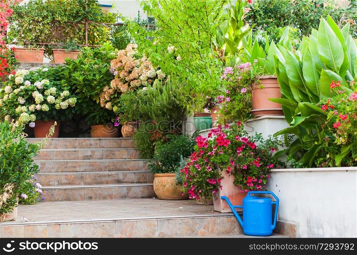 Large amount of adorable flowers in cozy flower pots for entrance door and steps decoration. Adorable flowers in cozy flower pots for entrance decoration