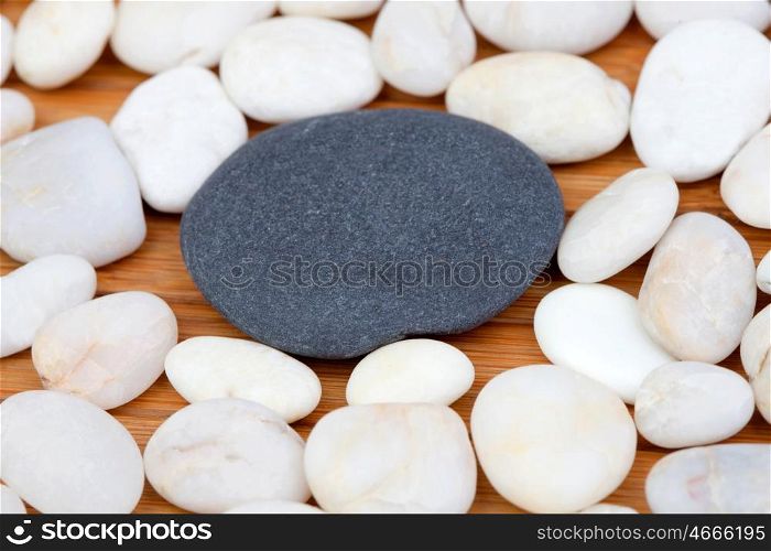 Large black stone surrounded by small white stones