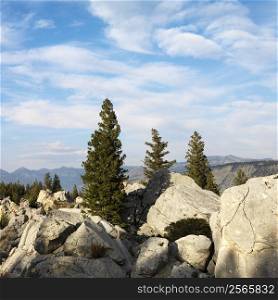 Large boulders with evergreen trees in Wyoming.