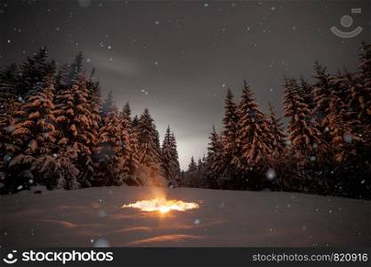 Large bright bonfire of a winter forest at night.