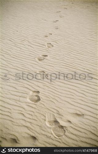 Large coastal sand dunes