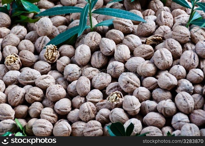 Large collection of walnuts sold at large market in Fethiye, Turkey
