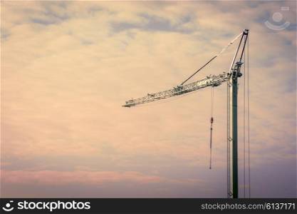 Large crane in the sunrise with violet sky
