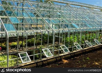 Large glass greenhouse or hothouse building exterior with plants