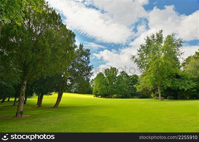 Large golf course in beautiful summer park