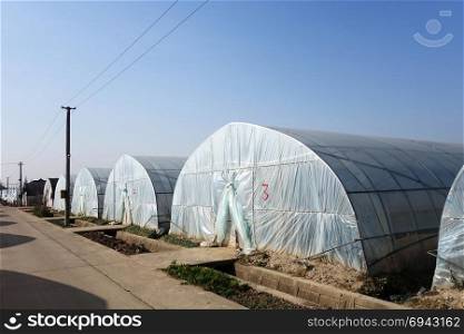 Large greenhouse for plants in the autumn season on the farm