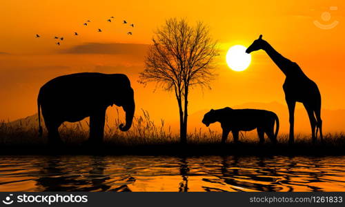 Large group of african safari animals. Wildlife conservation concept