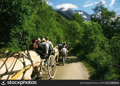 Large group of people riding a horse cart, Briksdalsbreen Glacier, Norway