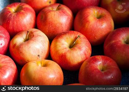 Large group of ripe red organic apples background