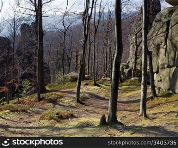 "Large lofty stone in autumn forest ( "Skeli Dovbusha", Ivano-Frankovsk Region, Ukraine )"