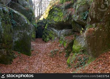 "Large lofty stone in autumn forest ( "Skeli Dovbusha", Ivano-Frankovsk Region, Ukraine )"