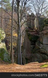 "Large lofty stone in autumn forest ( "Skeli Dovbusha" , Ivano-Frankovsk Region, Ukraine)"