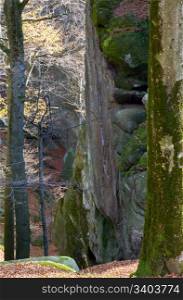 "Large lofty stone in autumn forest ( "Skeli Dovbusha" , Ivano-Frankovsk Region, Ukraine)"