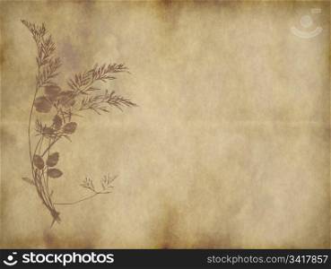 large old paper or parchment background texture. old paper or parchment