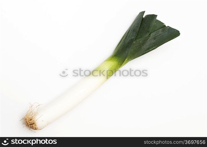 Large onion on a white background