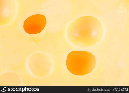 large piece of cheese close up backgrounds