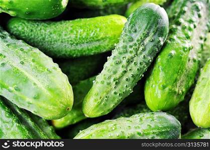 large pile of freshly green cucumbers.close up