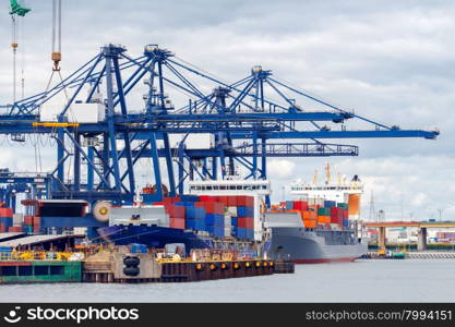 Large port cranes on a pier in the port of Gdynia.. Gdynia. Sea port.