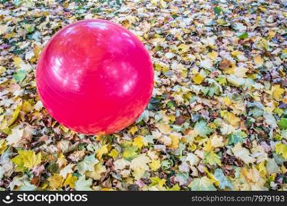 large purple Swiss exercise ball outdoors with maple leaves