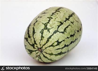 Large ripe water-melon India Goa.. Large ripe water-melon. India Goa