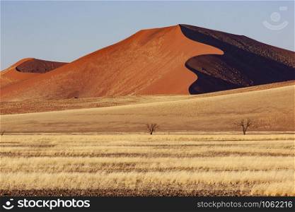 Large sand dune in the Namib Desert in the Namib-nuakluft National Park near Sossusvlei in Namibia, Africa.