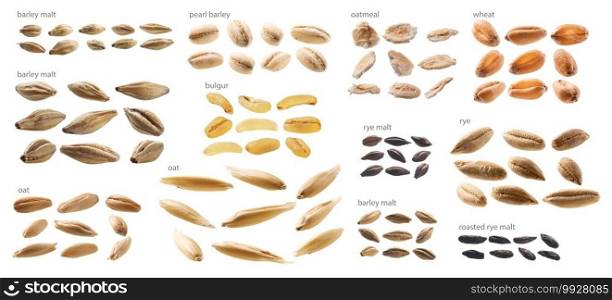 Large set of malt and grains on a white background.. Large set of malt and grains on a white background