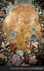 Large stone in the ground with smaller rocks and lichen
