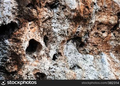 large stone with holes close up