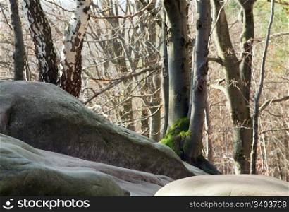 "Large stones in autumn forest ( "Skeli Dovbusha", Ivano-Frankovsk Region, Ukraine )"