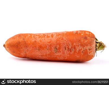 large unwashed whole orange carrots isolated on a white background, close up