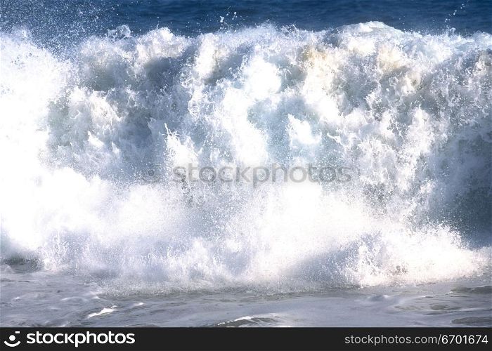 Large wave crashing in the sea