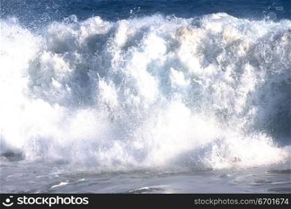 Large wave crashing in the sea