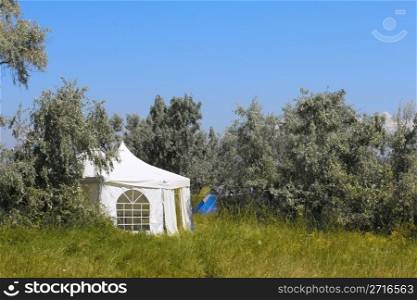 Large white tent among wild olive trees. Kinburn Spit, near Ochakiv, Ukraine