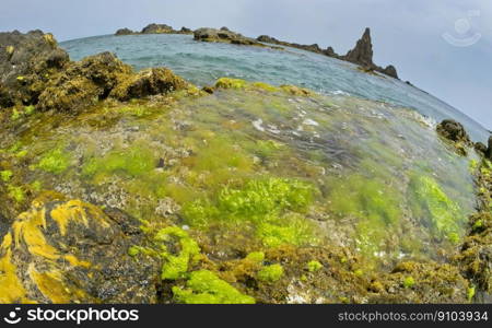 Las Sirenas Reef, Mermaids Reef, Cabo de Gata-Nijar Natural Park, Biosphere Reserve, Almeria, Andalucia, Spain, Europe. Las Sirenas Reef, Cabo de Gata-Nijar Natural Park, Spain