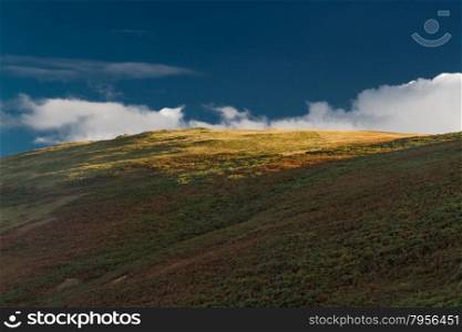 Last evening sunlight on British hill. Near Elan Valley, Powys, Wales, United Kingdom, Europe. Fern and heather.