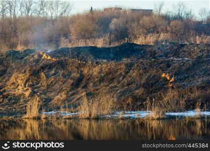 Last year?s burning grass on the bank of a small river in the red rays of the evening sun.
