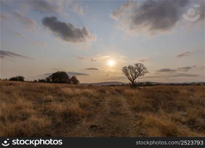 Late afternoon sun and grey winter grass Magaliesberg South Africa