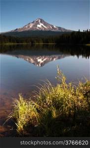 Late afternoon sun warms Mount Hood above Trillium Lake