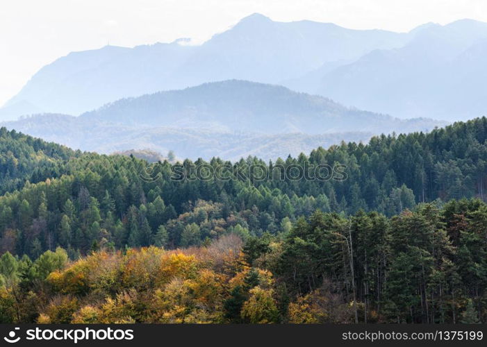 Late autumn landscape with forest and mountains. Autumn forest mountain landscape